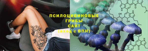 трава Вязьма