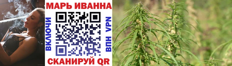 Купить где  Советская Гавань  Канабис ГИДРОПОН 